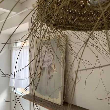 Prázdninový dům Histoire De Loup *