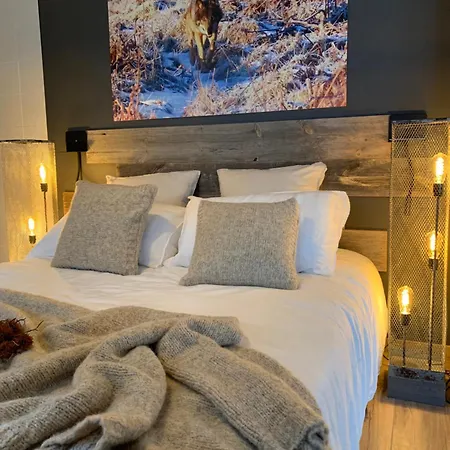 Histoire De Loup Verviers