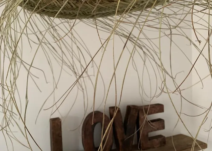 Ferienhaus Histoire De Loup Verviers